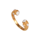 Ay Taşı