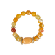 Sari