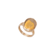 Bee Jasper